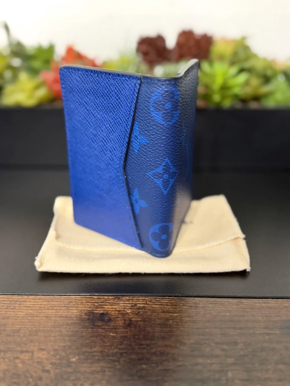 Louis Vuitton Blue Taigarama Monogram Pocket Organizer